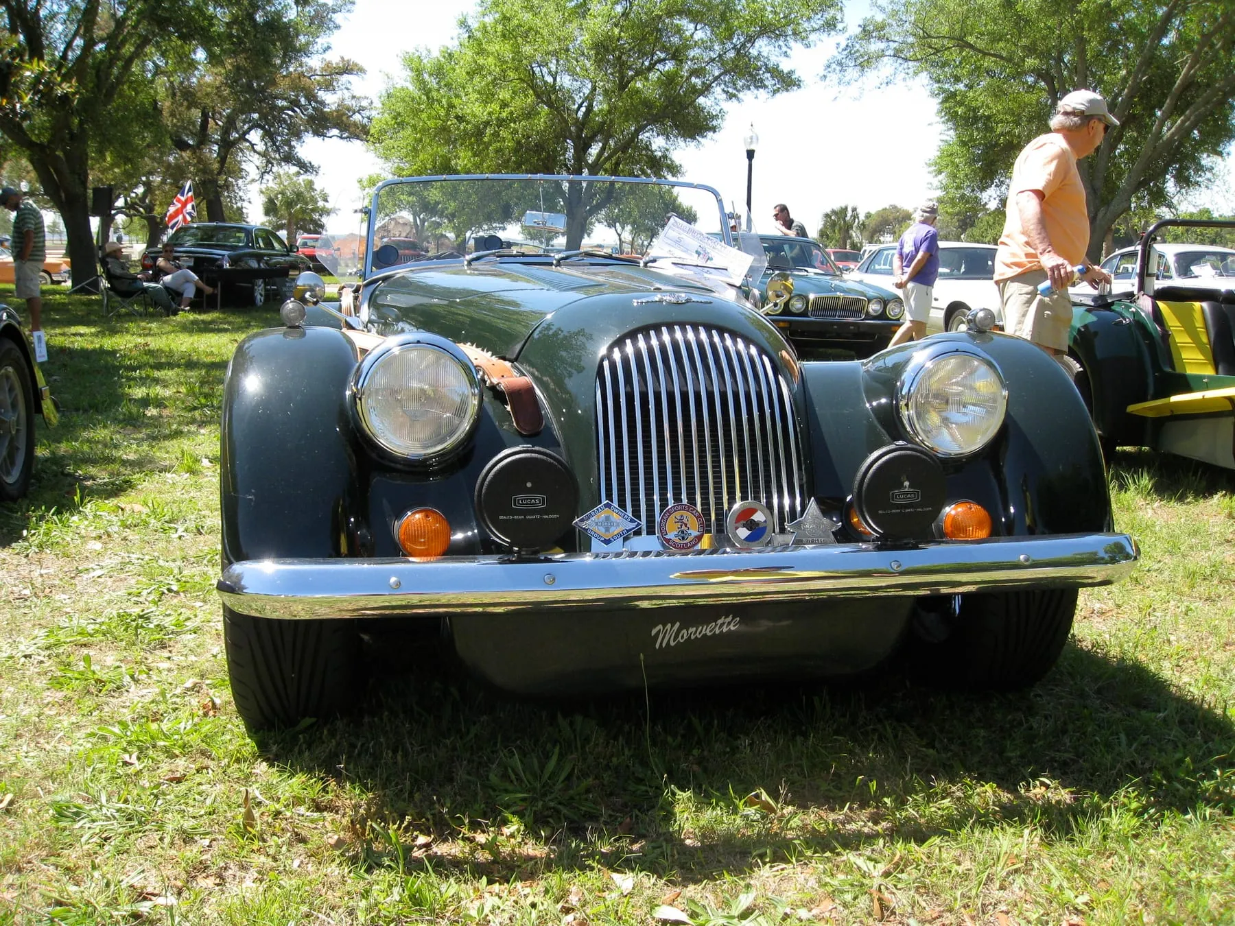 A dark-green Plus 8 from the front at a car show, under trees