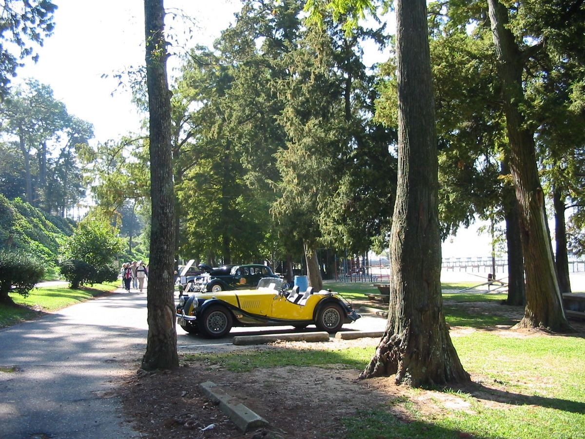 A yellow and black Morgan on a path under tall trees at a car show