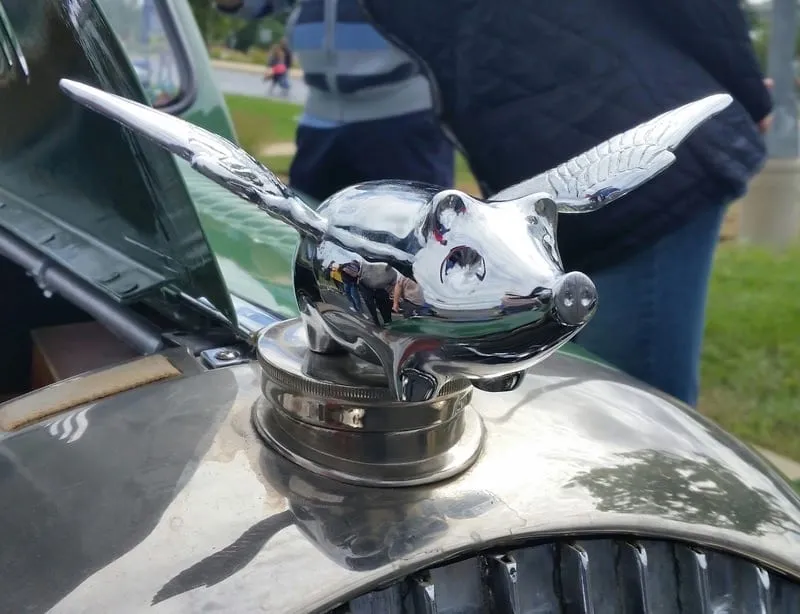 A chrome pig with outstretched wings as a radiator-cap mascot, on the wing of a dark green car