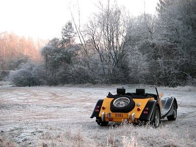Morgan in Winter
